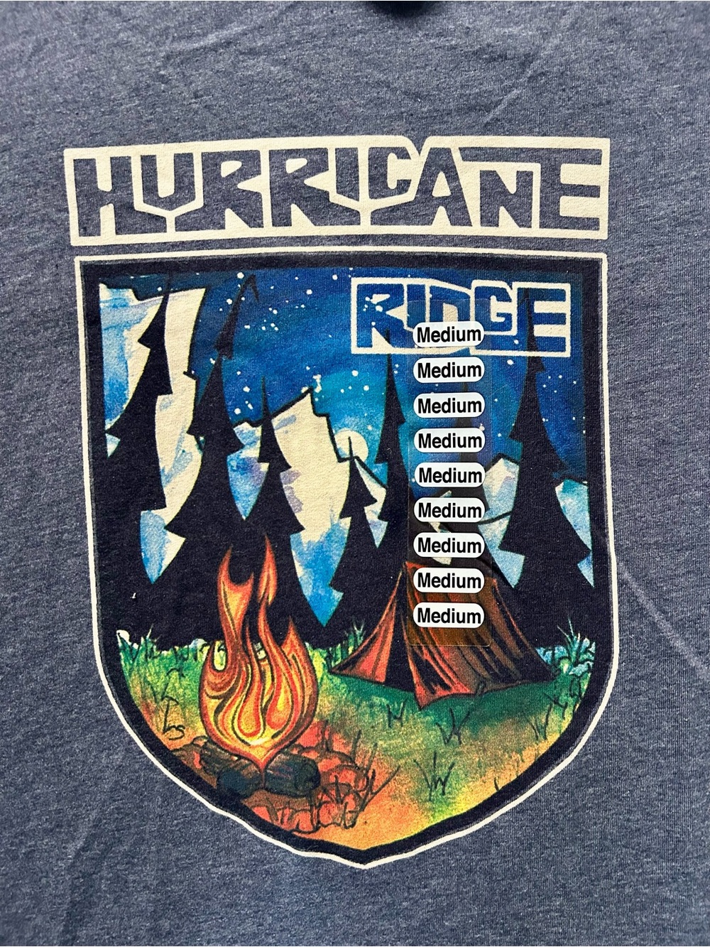 Hurricane Ridge Graphic T-Shirt